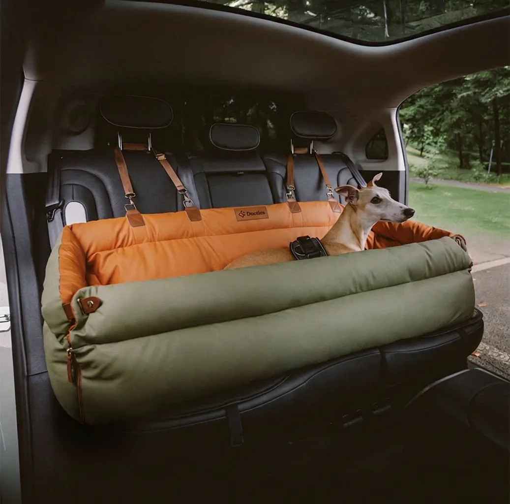 Green and orange car seat bed installed in a van with a whippet