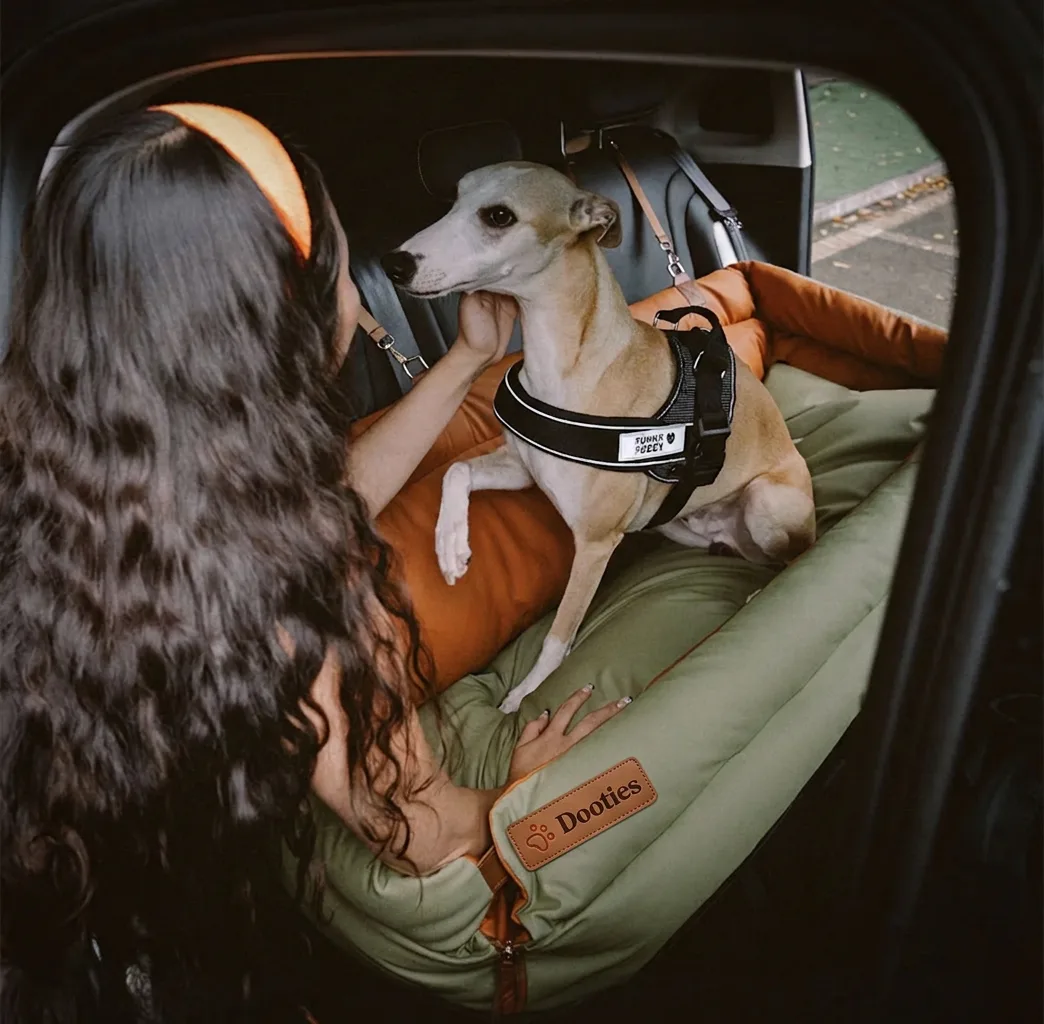Owner with whippet in green and orange car seat bed
