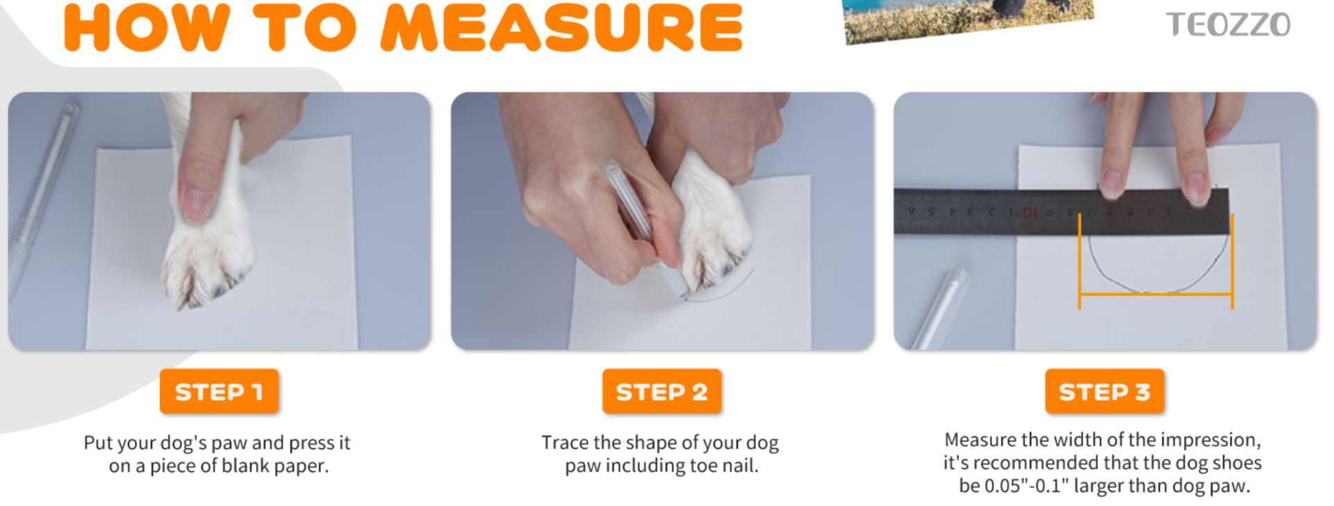 Three-step guide to measuring your dog's paw